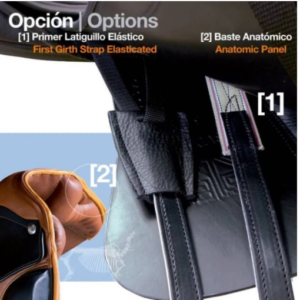 ANATOMIC PANEL IN ZALDI SADDLE