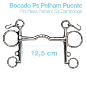 KANDARE BRÜCKE PELHAM BIT CAMBRIDGE PS 21250C