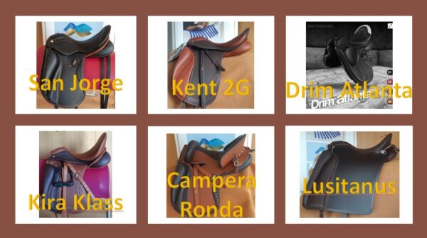 TEST A ZALDI SADDLE FOR 7 DAYS
