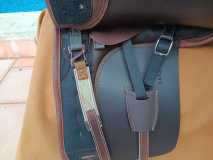 Zaldi-Drim-Lusitanus-mit-Mini-TM-Pauschen-von-ZALDIONLINE-1