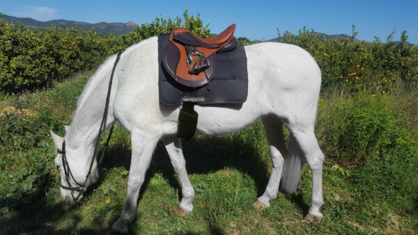 SILLA ZALDI USO GENERAL EUROPA 2G - Imagen 13
