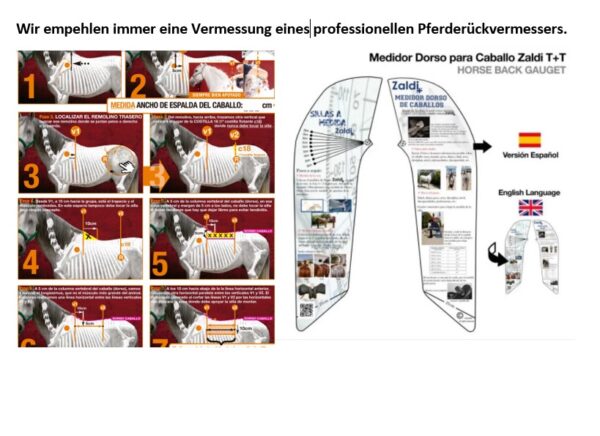 Plantilla de medición EQUIscan®