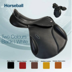 Horseball