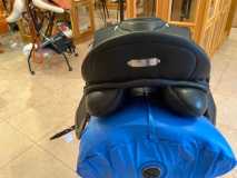 Zaldi-Kent-2G-Dressur-von-ZALDIONLINE-2