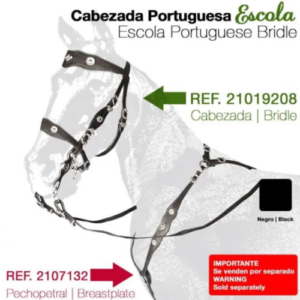 KANDARENZAUM BAROCK ZALDI PORTUGUESA ESCOLA