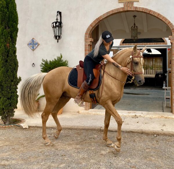 ZALDI WORKING EQUITATION SATTEL P. RELVAS – Bild 17