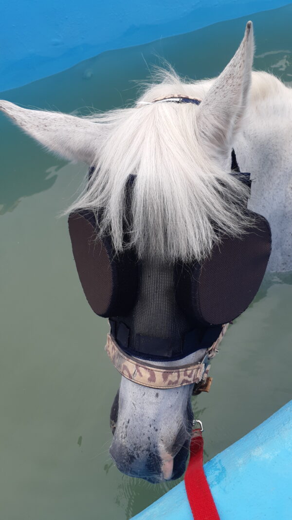 GUARDIAN HORSE MASK - MASCARA PARA CABALLOS - MASKE FÜR PFERDE AUGENSCHUTZ